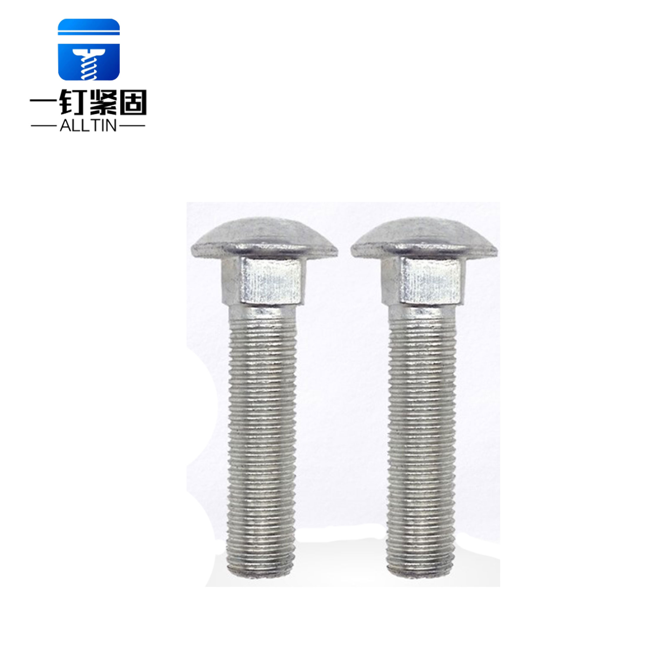 carriage bolt