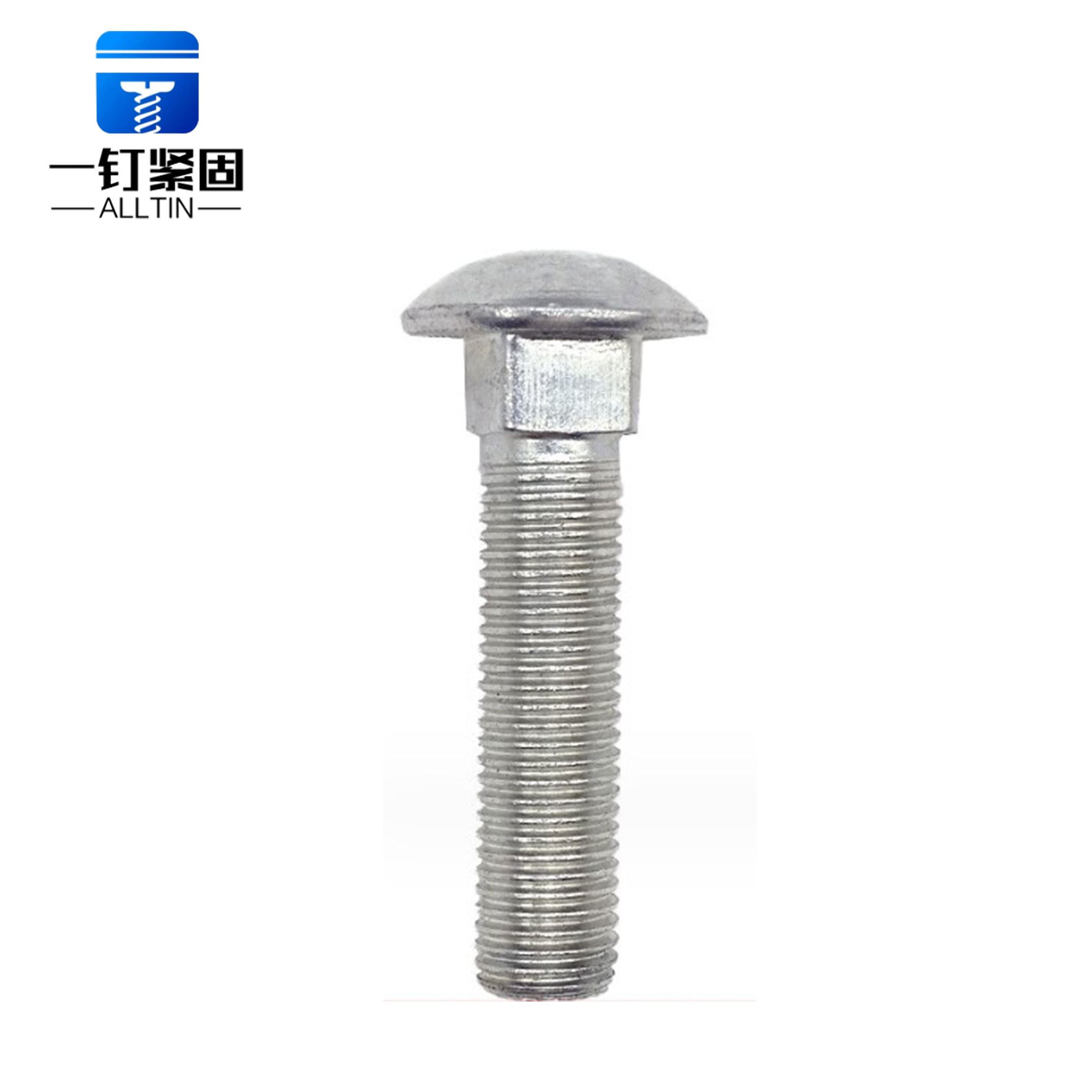 carriage bolt
