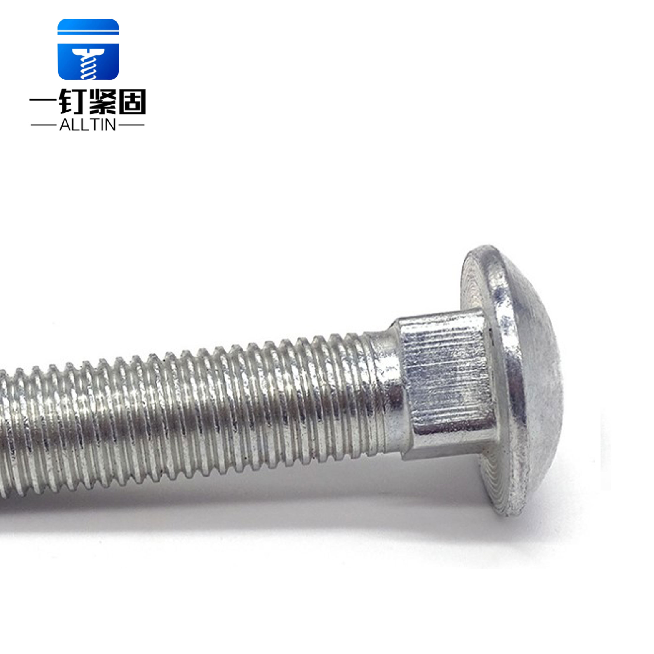 carriage bolt