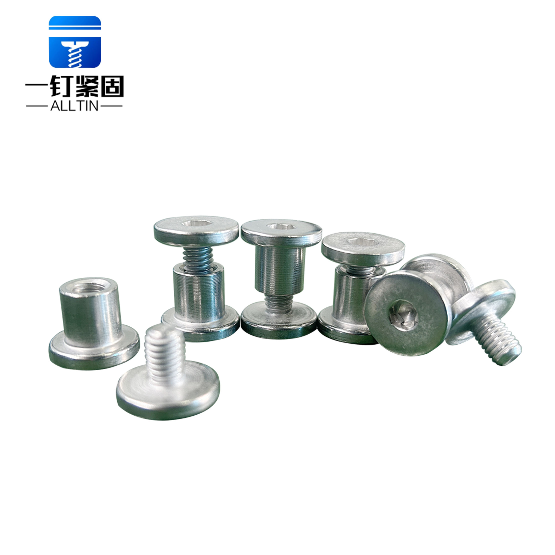 Flat Hexagon Chicago screws 