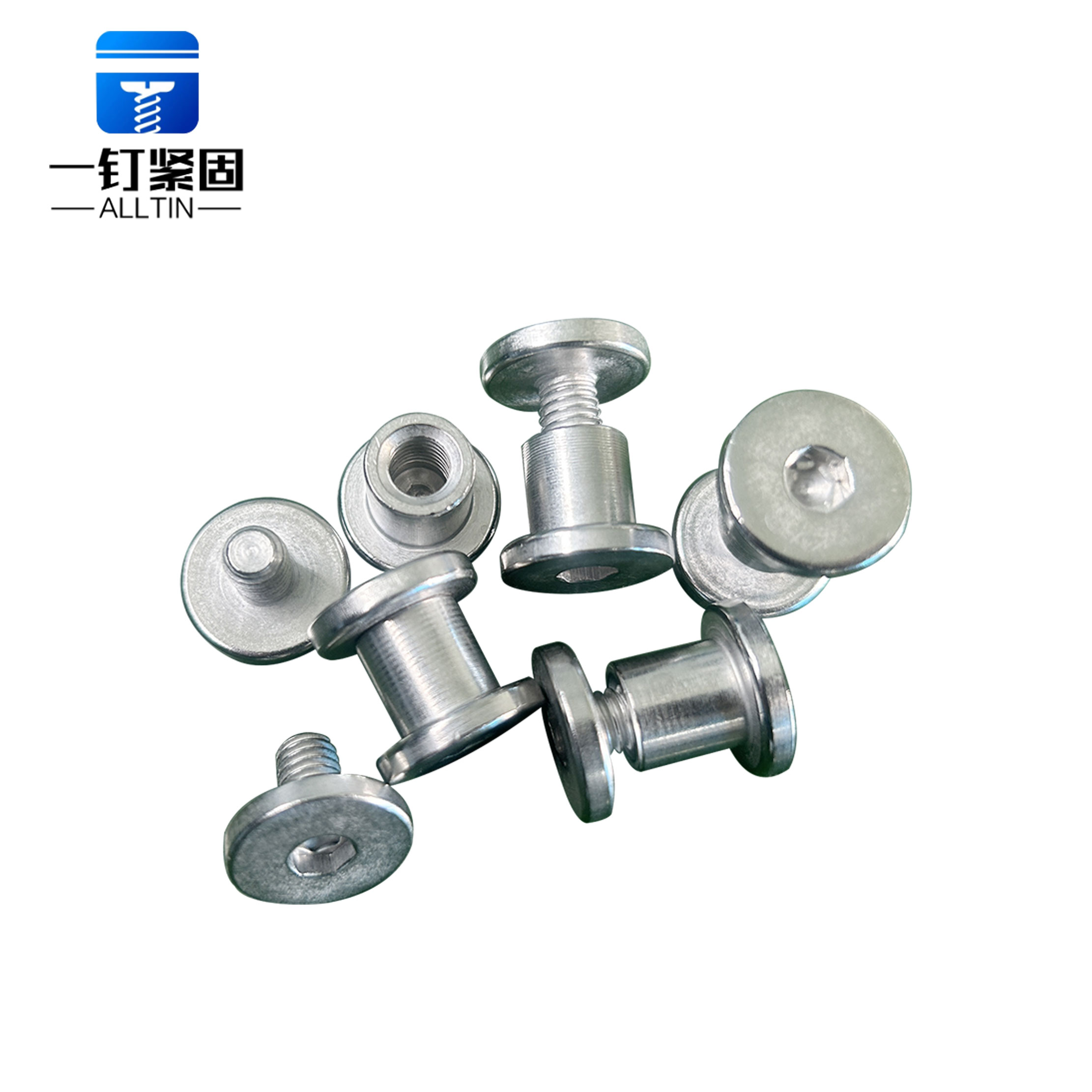Flat Hexagon Chicago screws 