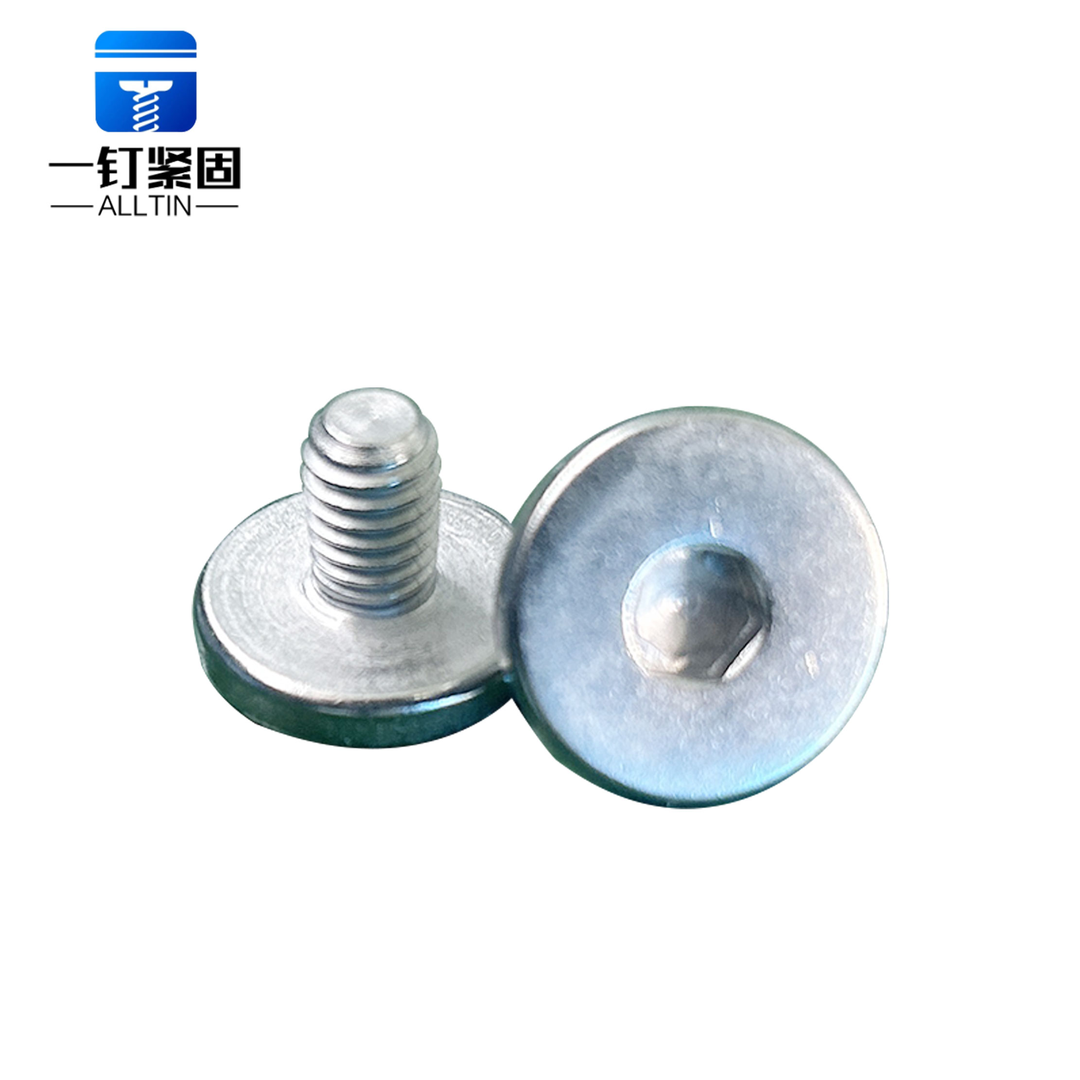 Flat Hexagon Chicago screws 