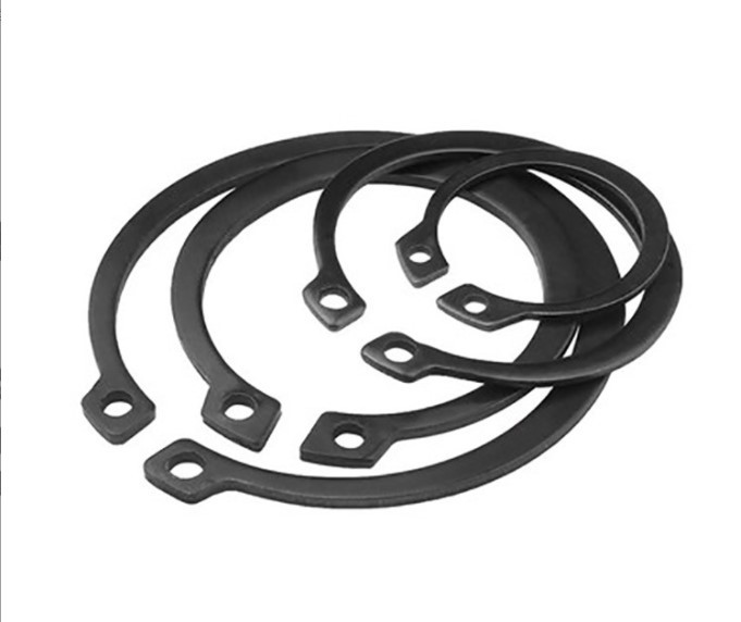 Retaining Ring (Circ...